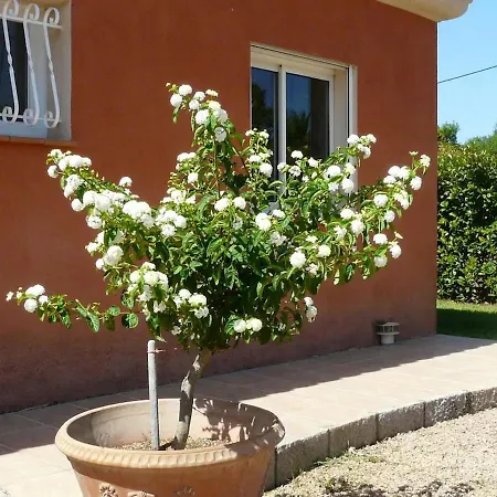 Superbe Avec Piscine Vue Mer, Proche Et Porticcio Pietrosella