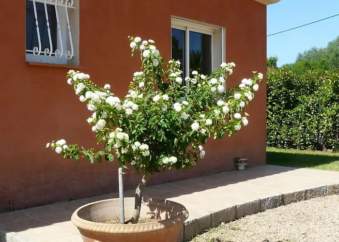 Superbe Avec Piscine Vue Mer, Proche Et Porticcio Pietrosella